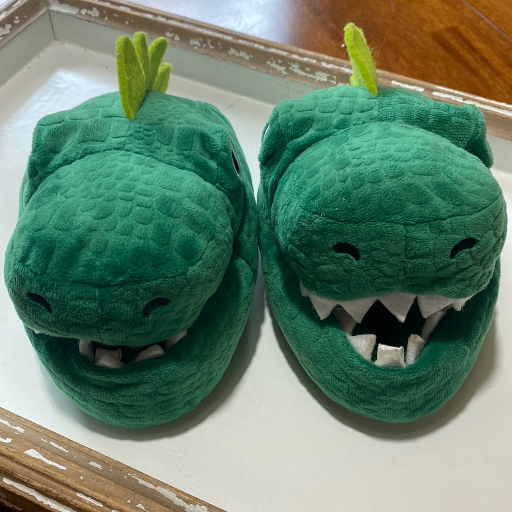 Dinosaur Bedroom Slippers by Old Navy